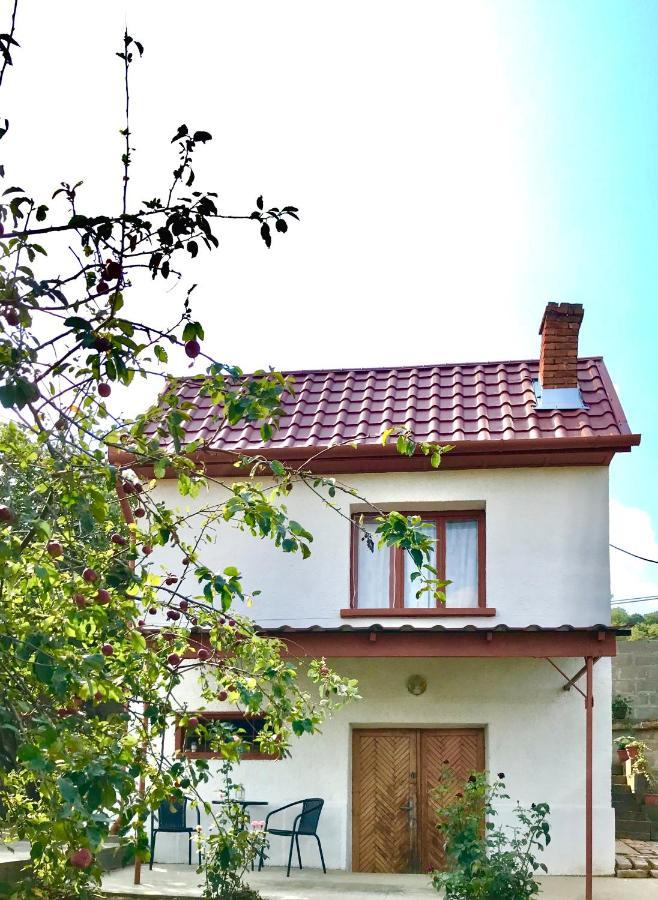 Hotel BorászPorta - Présház à Villány Extérieur photo